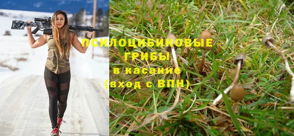 стафф Аркадак