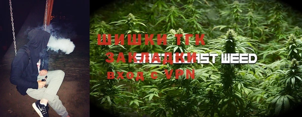 стафф Аркадак