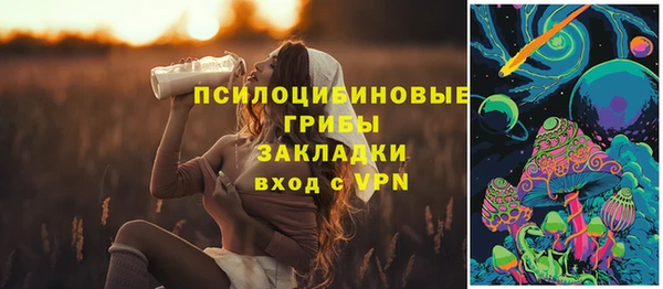 крисы Строитель
